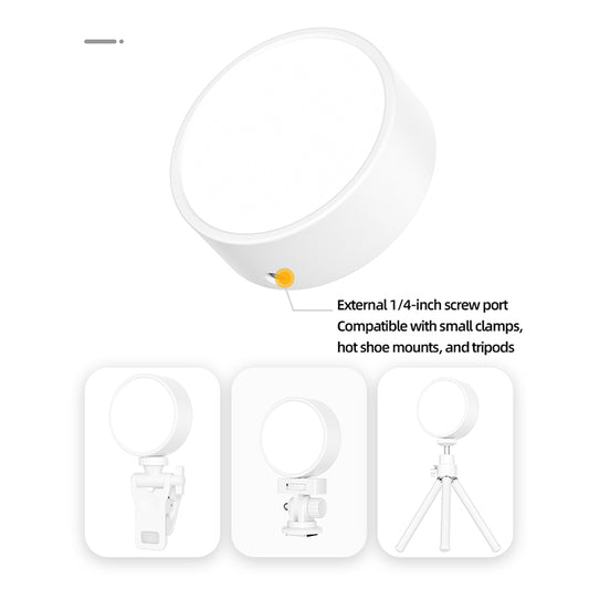 Mini mobile and magnetic selfie light